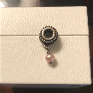 Pandora charm